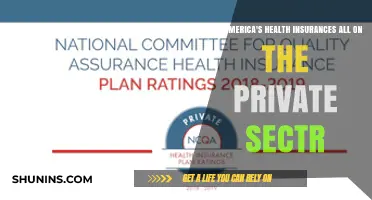 Are America's Health Insurances Dominated by the Private Sector?
