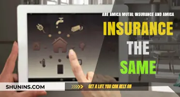 Amica Insurance: Are They Two Different Companies?