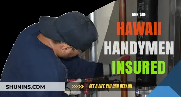 Hawaii Handymen: Are They Insured?