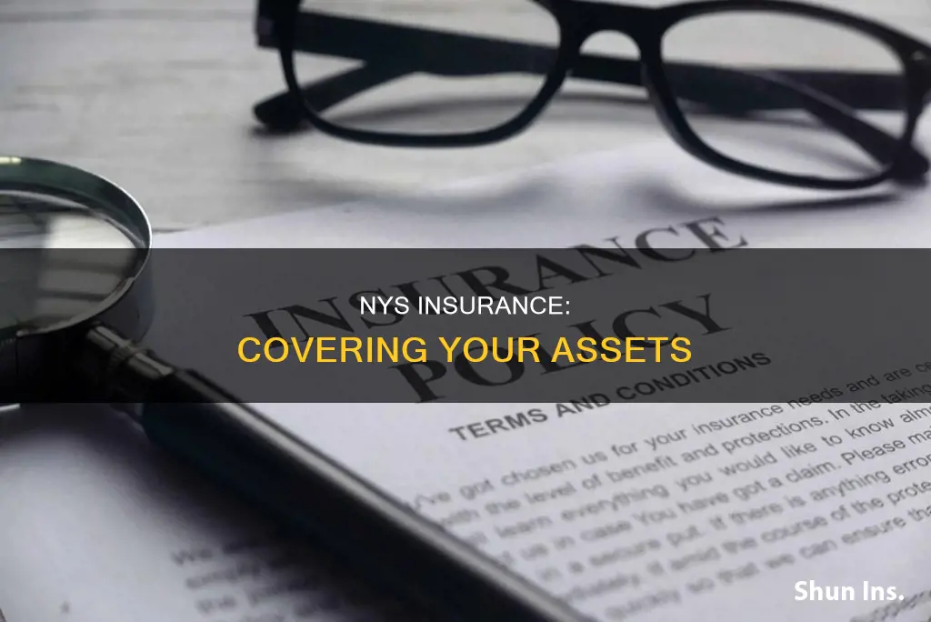 are assets considered for insurance nys