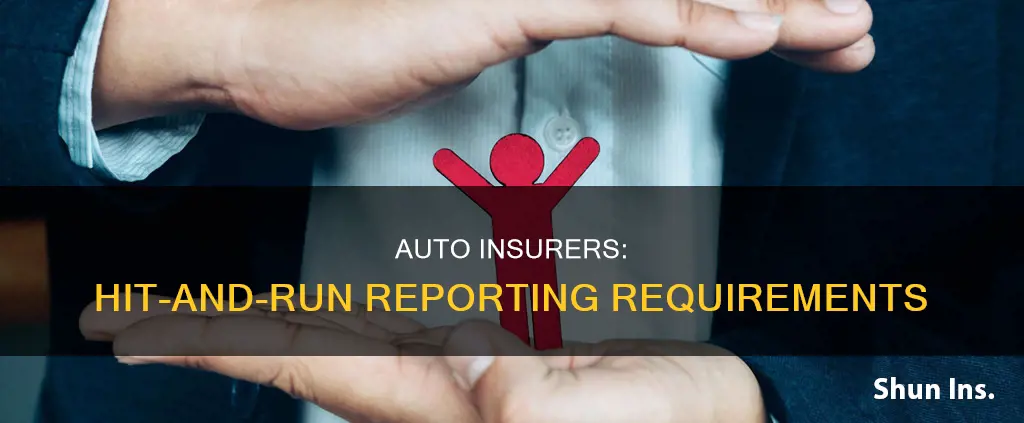 are auto insurance companies required to report hit and run