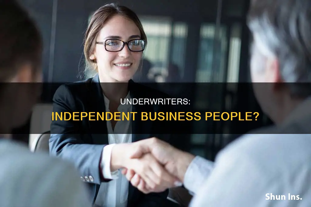 are auto insurance underwriters independent business people