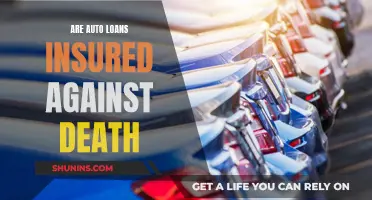 Auto Loan Insurance: Death Coverage?