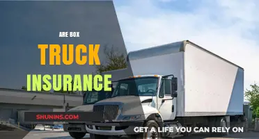 Box Truck Insurance: What You Need to Know