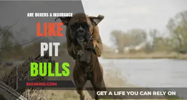 Boxers: The Insurance Risk of Canine Aggression