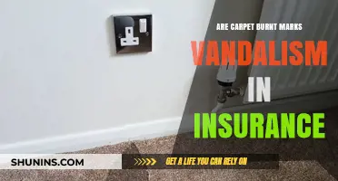 Carpet Burns: Are They Considered Vandalism for Insurance?