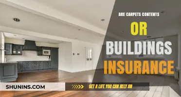 Carpet Conundrum: What Insurance Covers Your Floors?