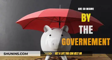 Are Government-Insured CDs a Safe Investment Option?