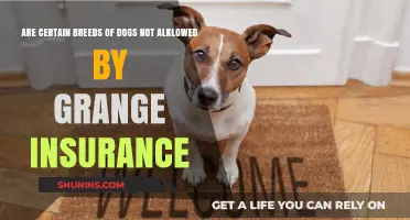 Grange Insurance: Which Dog Breeds Are Restricted?