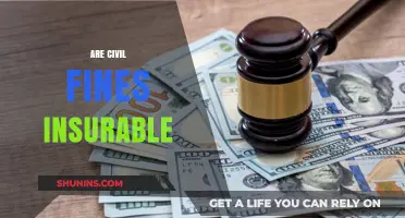 Civil Fines: Are They Insurable?
