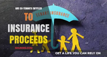 Understanding Insurance Proceeds: Rights of Co-Tenants