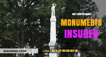 Confederate Monument Insurance: Who Pays for the Past?