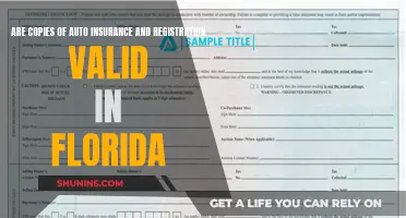 Florida's Digital Car Insurance and Registration