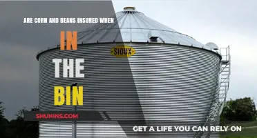 Corn and Bean Insurance: In-Bin Coverage Explained
