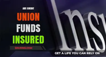 Are Credit Union Funds Insured? Understanding Your Financial Protection