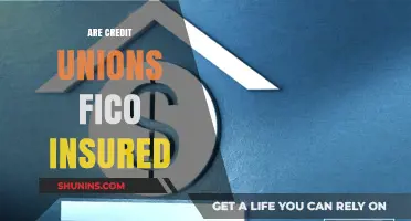 Credit Union Members: Are You FICO Insured?