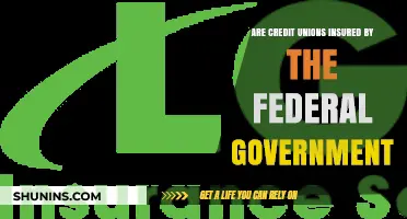 Credit Union Insurance: Is the Government Involved?