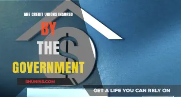Are Credit Unions Government-Insured? Understanding Your Deposit Protection