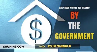 Credit Unions: Government Insurance or Not?