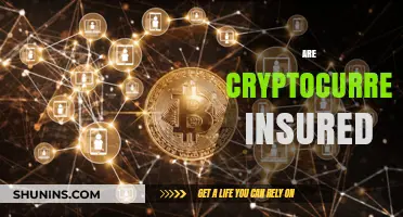 Insuring Cryptocurrencies: Is Your Digital Money Safe?