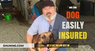 Cur Dogs: Easy to Insure?