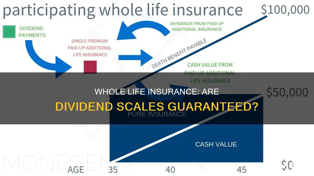 are dividend scales guaranteed in whole life insurance