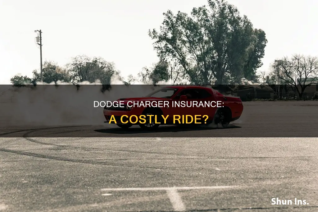 are dodge chargers high on insurance