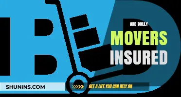 Dolly Movers: Are They Insured?