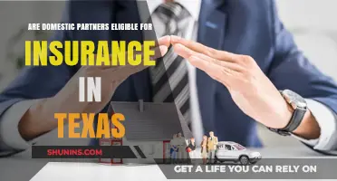 Domestic Partners: Insurance Eligibility in Texas