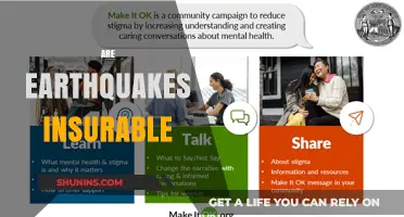Earthquake Insurance: What's Covered and What's Not?