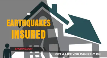 Earthquake Insurance: Are You Covered?