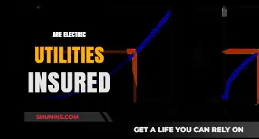 Electric Utilities: Are They Insured Against All Risks?