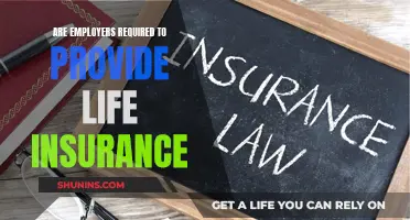 Life Insurance: What's the Deal for Employers?