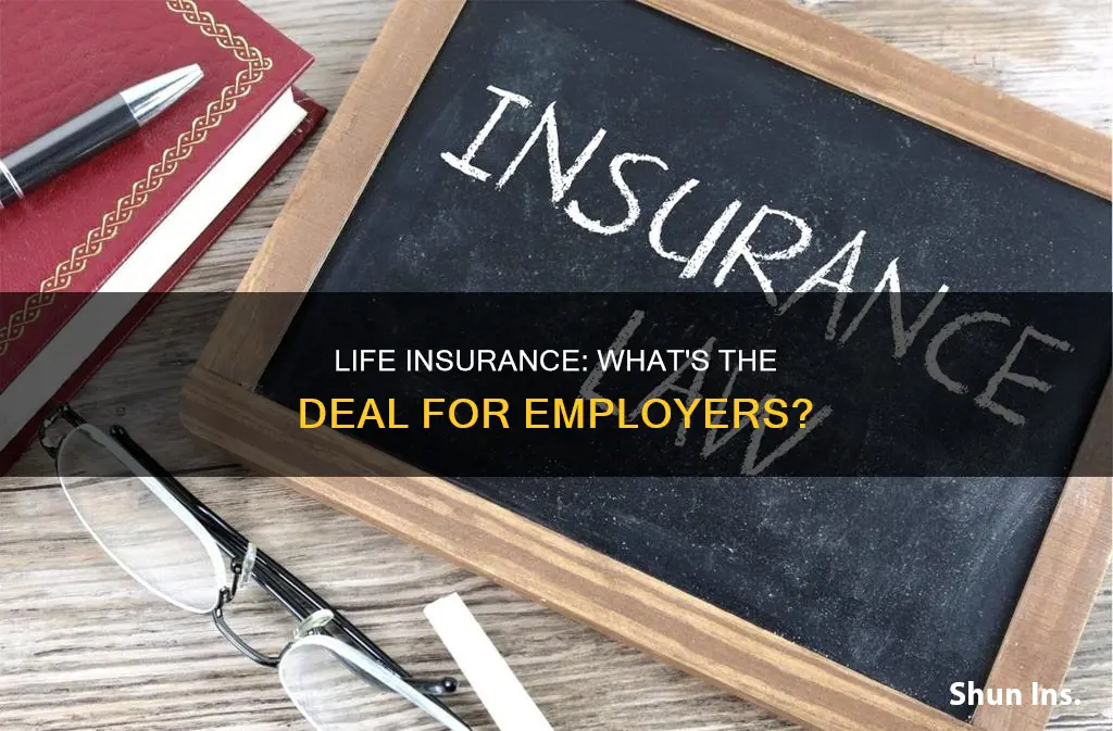 are employers required to provide life insurance