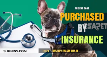 ESAs: Can You Get Insurance Coverage for Your Dog?
