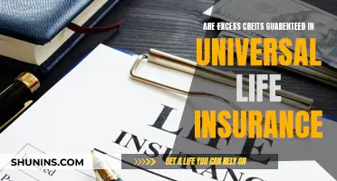 Universal Life Insurance: Excess Credits Explained