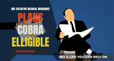 Executive Medical Insurance: Cobra Eligibility Explained