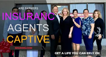 Farmers Insurance Agents: Captive or Independent?