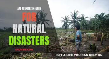 Natural Disasters and Farmers: Navigating the Complex World of Agricultural Insurance