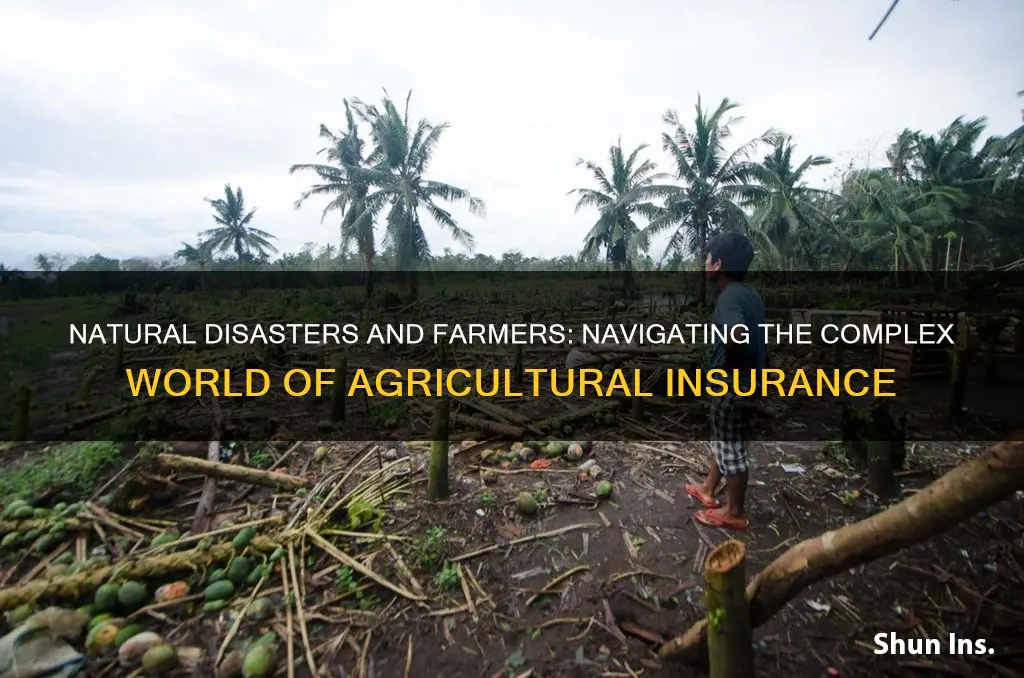 are farmers insured for natural disasters