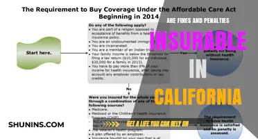 Fines and Penalties: Are They Insurable in California?