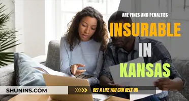 Kansas Fines and Penalties: Are They Insurable?