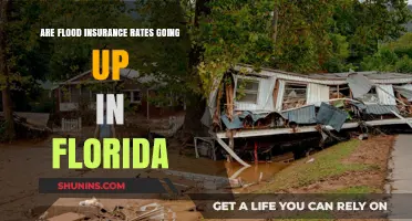 Florida's Flood Insurance Rates: Rising Waters, Rising Costs