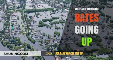 Flood Insurance Rates: Rising Costs and What to Expect