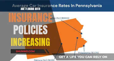 Florida Auto Insurance: Rising Costs Explained