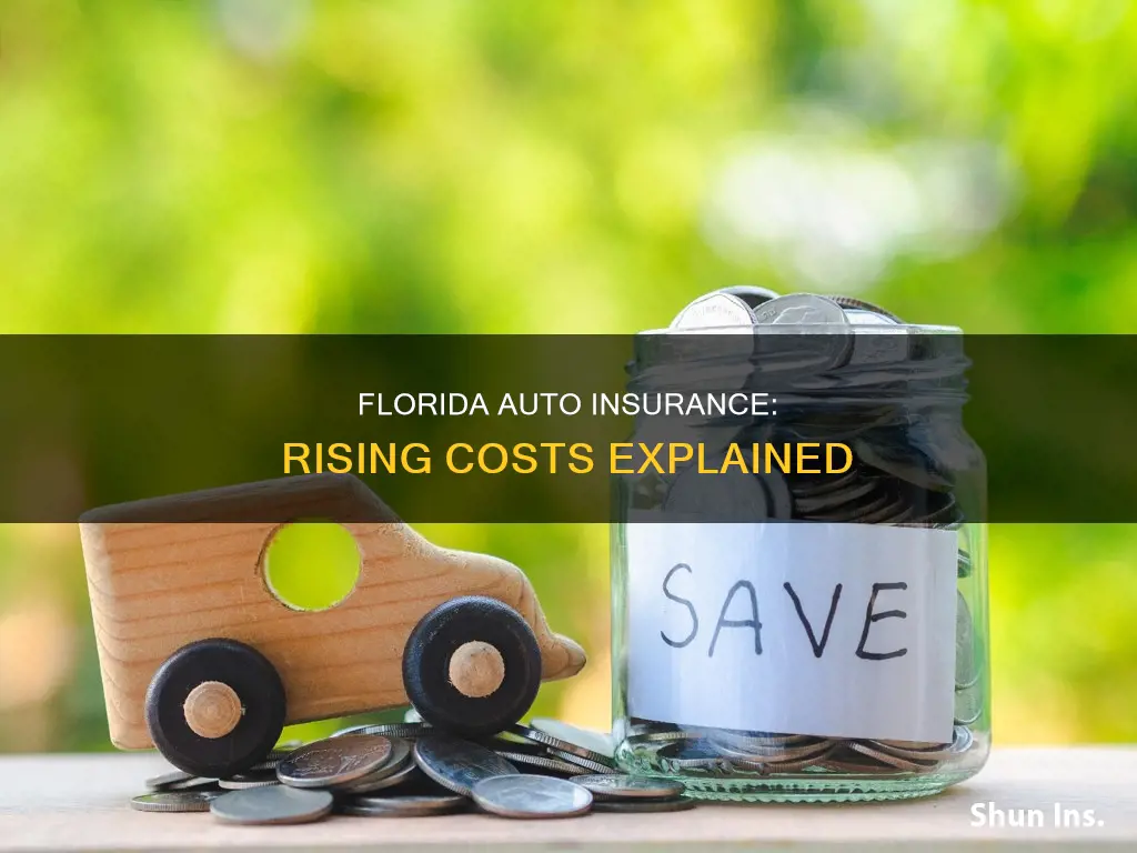 are florida auto insurance policies increasing