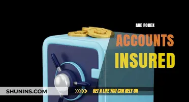 Are Forex Accounts Insured? Trading Safely