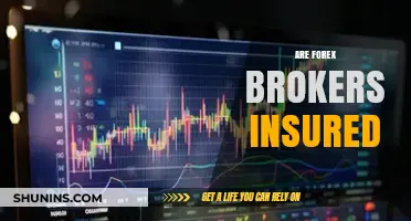 Insured Forex Brokers: What You Need to Know