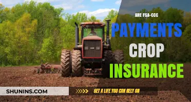 FSA-CCC Payments: Crop Insurance or Government Subsidy?