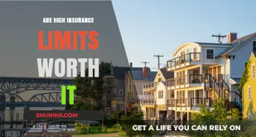Insurance Limits: High Coverage, High Value?